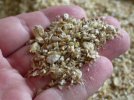 Grains