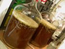 Fermentation