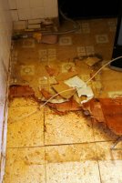 2&nbsp;layers&nbsp;of&nbsp;sub&nbsp;flooring