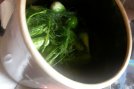Pickles