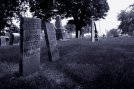 134-22.jpg
